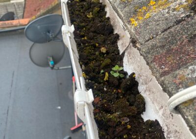 all that gutters gallery 10