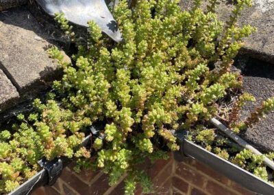 all that gutters gallery 2